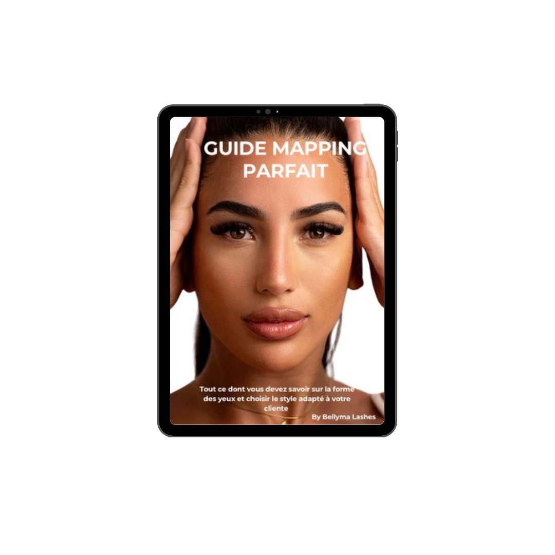 EBOOK MAPPING PARFAIT